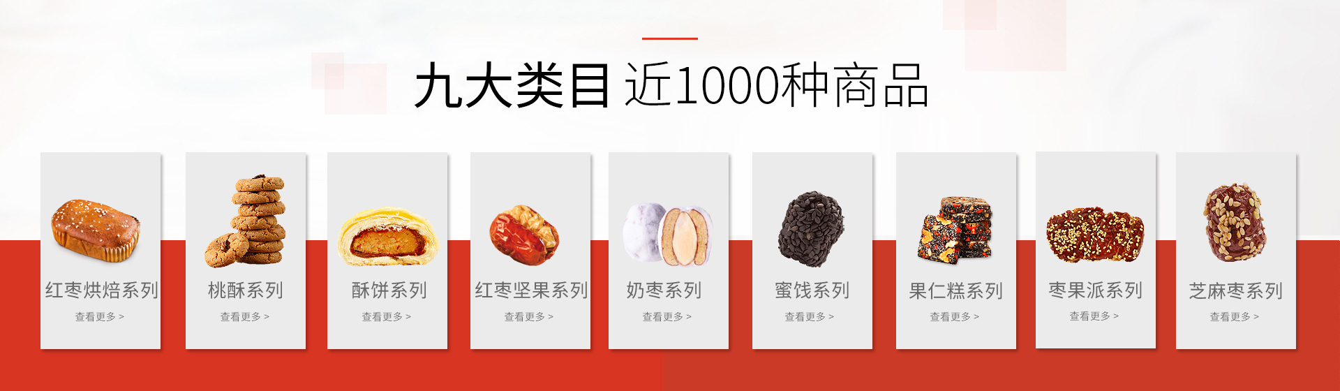 九大类目